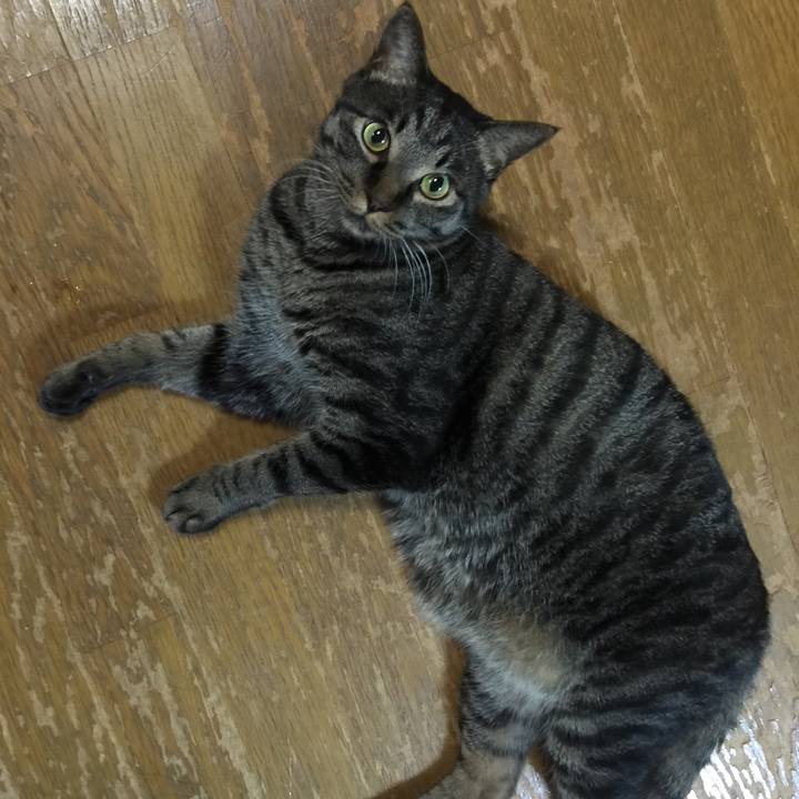 E8301e21 1a73 4433 98e1 36eca0f6aac5