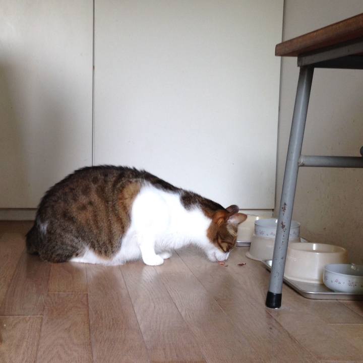 E83090cb 887d 4745 9b9e 48cd18176f9e