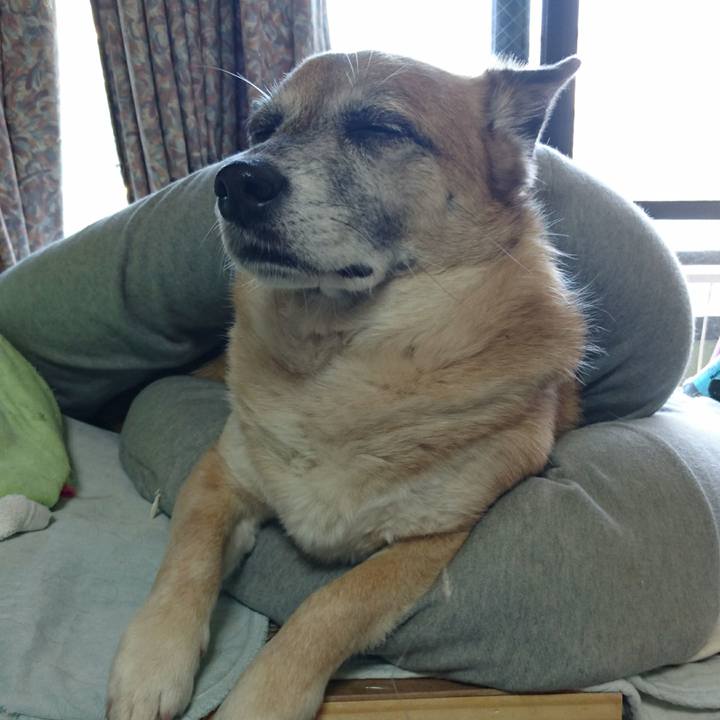 E830c44a d47a 4b25 b8df 6af9ec34329f