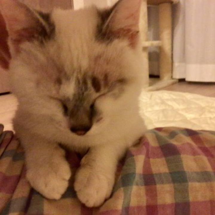 E8312498 aa47 452c 9918 f675c9b4af3f