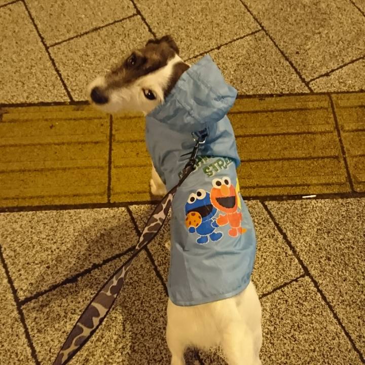 E83196db c801 4426 b9d0 7fcda2279564