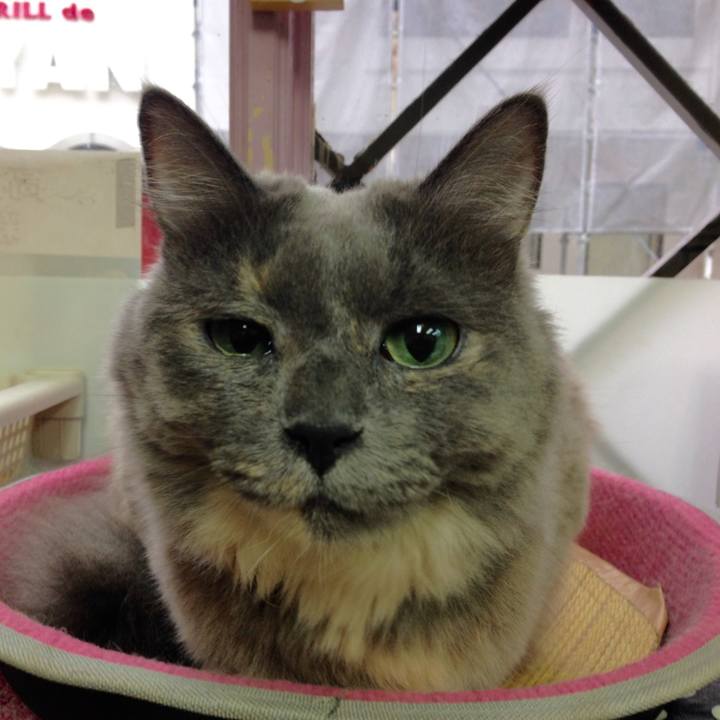 E832280e dda0 4b95 bf4e 3c435dcaa84e