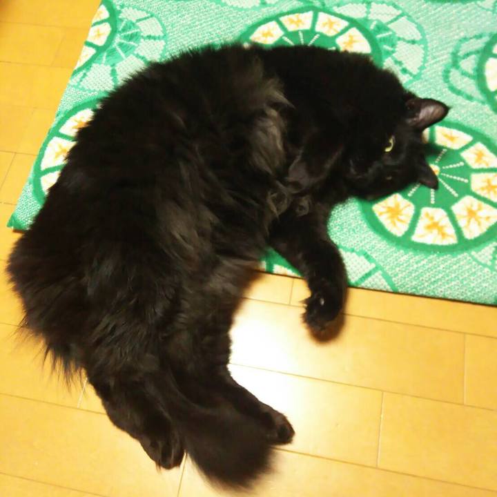 E8325b83 8edc 45ed bee5 33efc21be17a