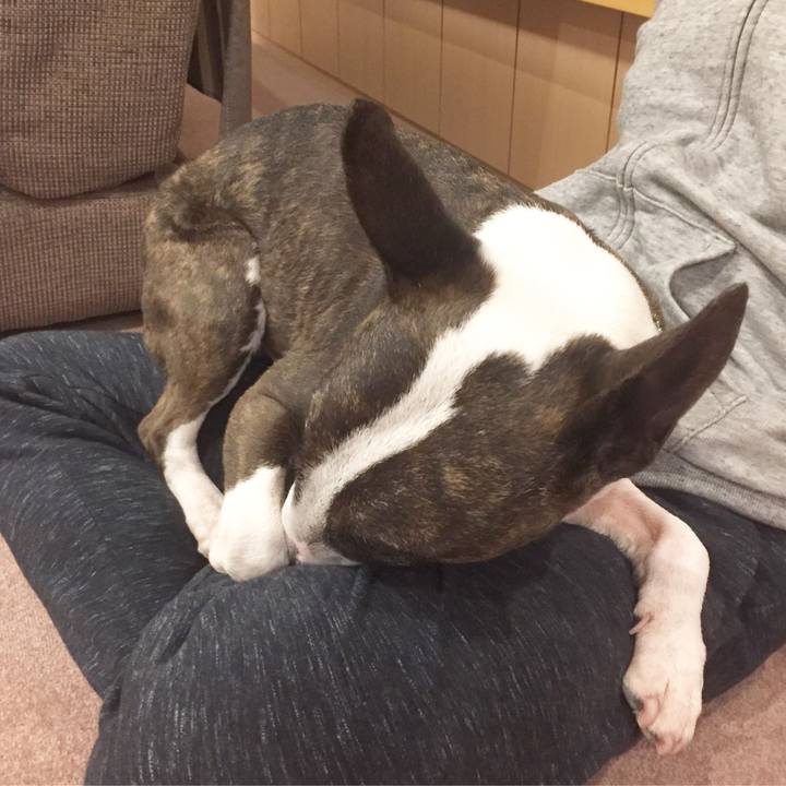 E83444a9 711d 40d0 85eb 27f06bb22ba1