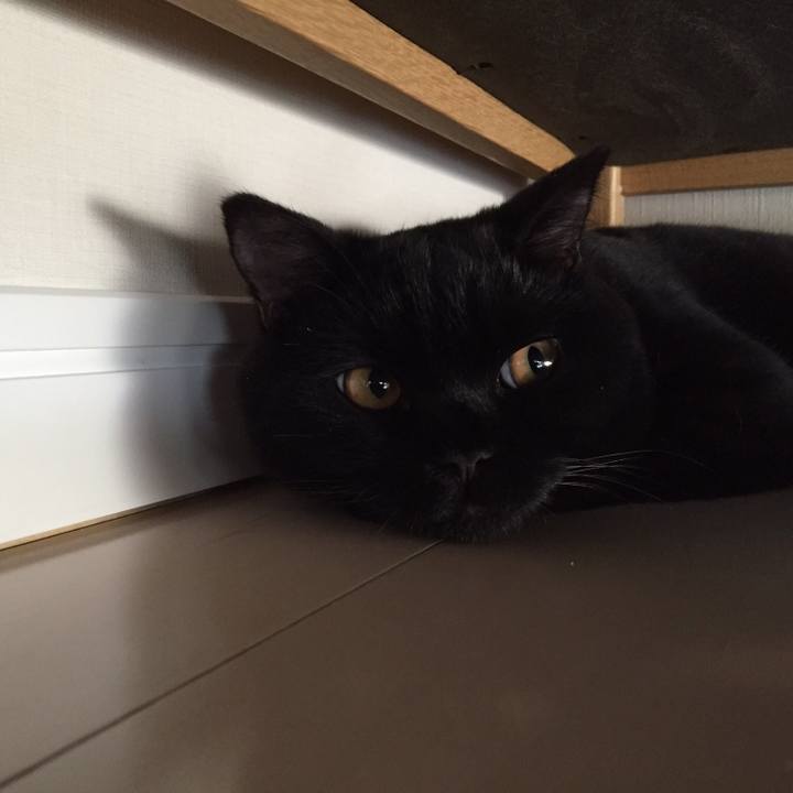 E8352334 dd9a 455e b880 d9eb9319a5ee