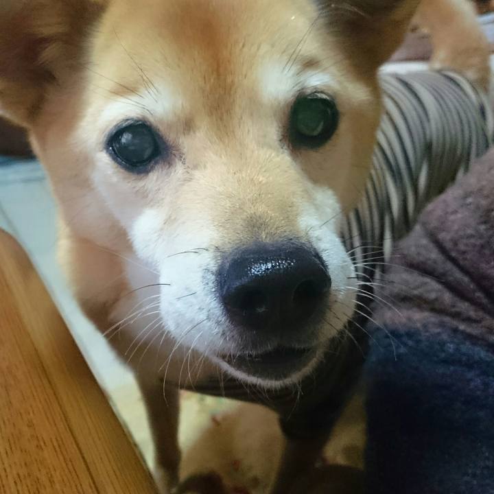 E8356a22 9d66 40a7 b28a 194952e50bc0