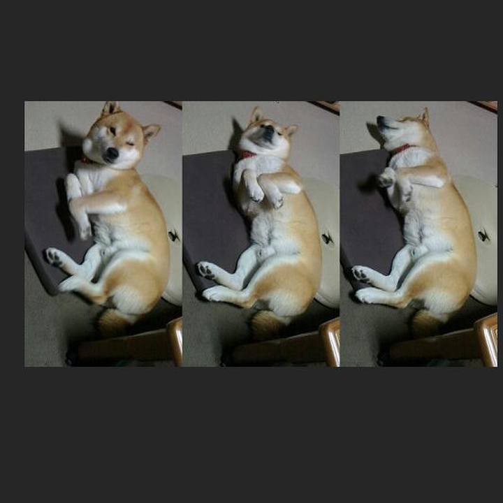 E835be9d 14fe 412f acf1 fd292873e7ca