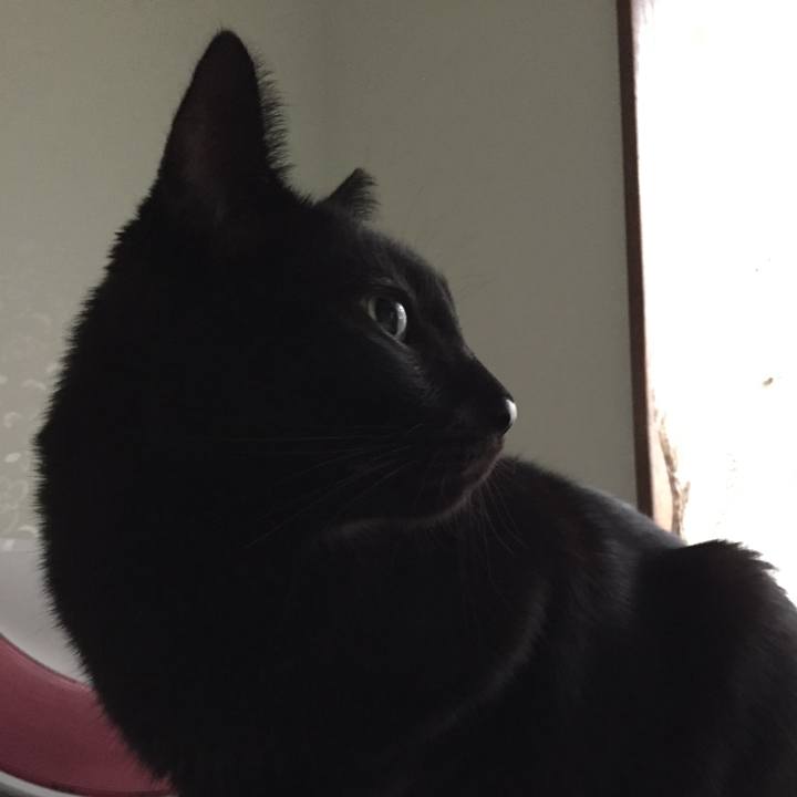 E836bcdf 85df 43b2 87b2 c54682e1235a