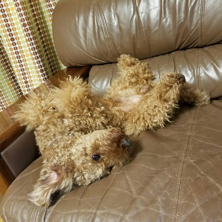 E836de59 2559 410b b956 9c575b0d2b03