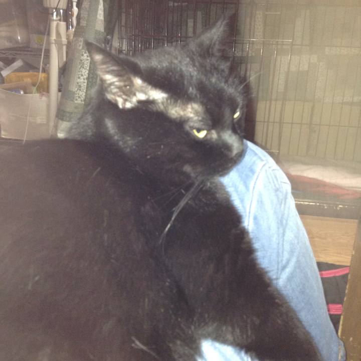 E8372a60 a46b 4643 8d13 dffc6815adf7