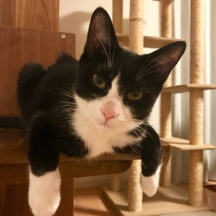 E837608c 1c62 46f5 8059 a9abb55eee10