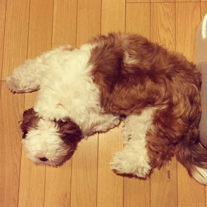 E837c988 7f26 4270 8917 fbfa70076d65