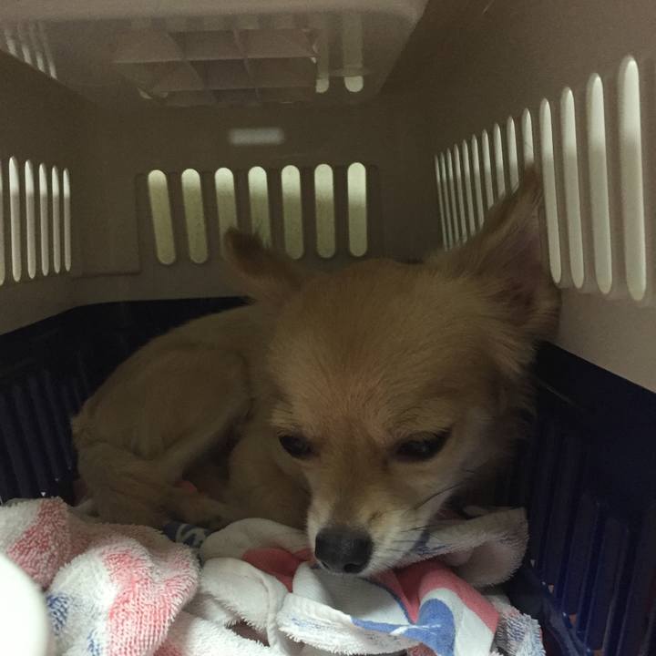 E83804d1 ac02 488b 81f2 9b7ca6ded53a