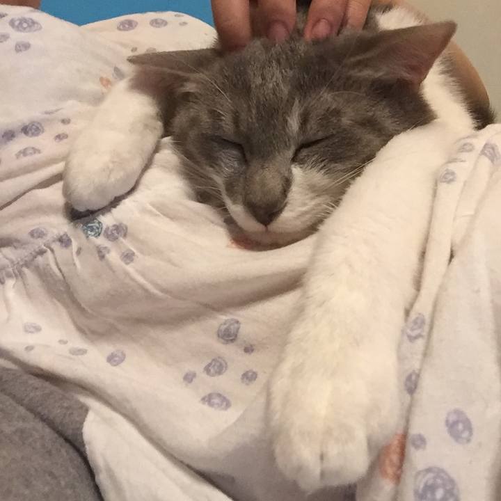 E8388e17 5070 467c abb6 f3bea4b3d885