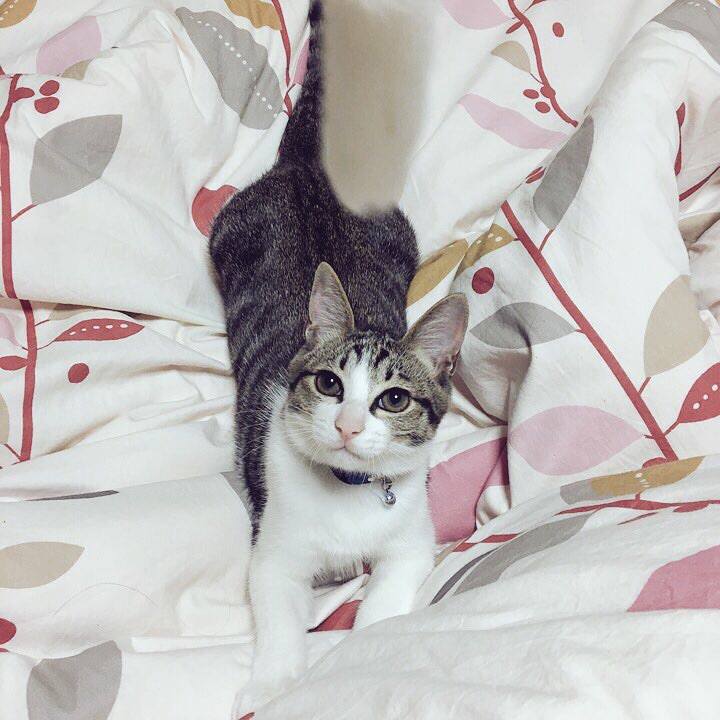 E838c8af 7ed9 4eab 8ff5 732b0aaa5f0f