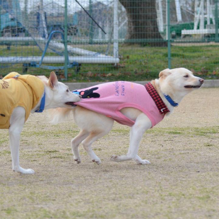 E83913ef be35 488d 8b05 8a10d29dba0e