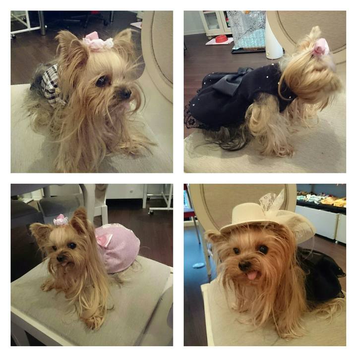 E83c0ef6 8fef 435e 8765 5d06dcd8a162