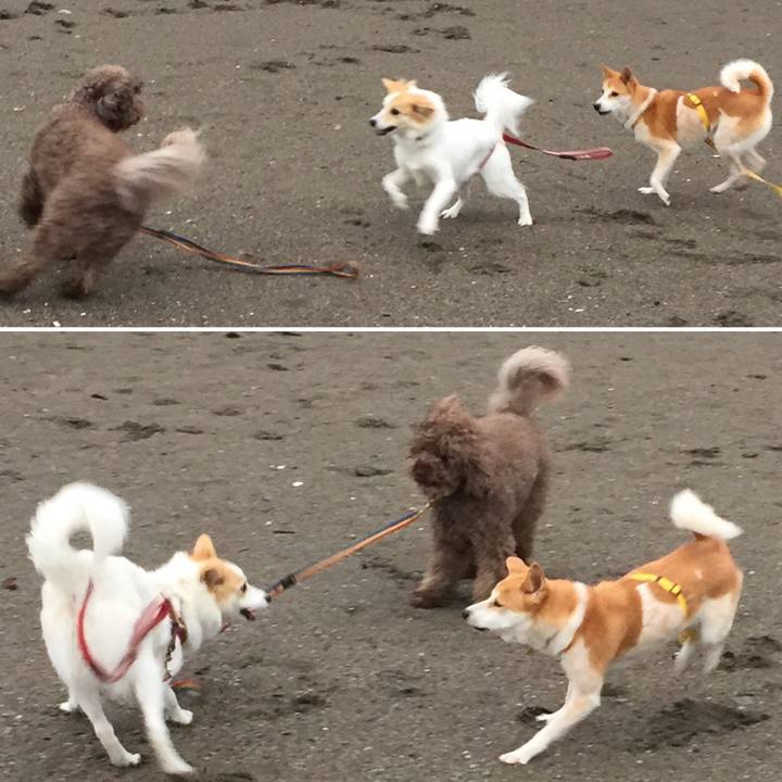 E83c1f8c 93b9 4181 b4e9 7554eba0e55b