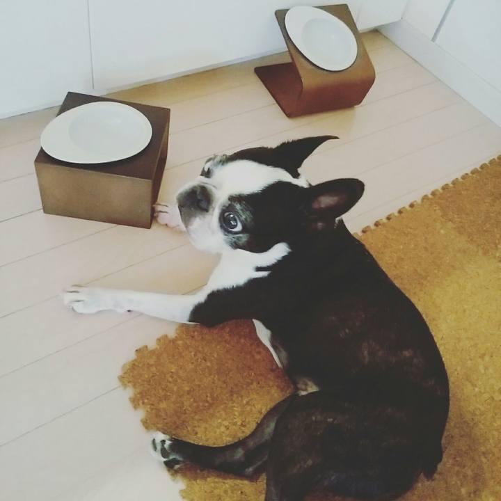 E83d906c 1c29 427b b6db 315853459b70