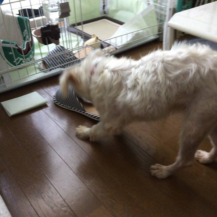 E83df659 98ef 486f 82d5 a62bc171fc29