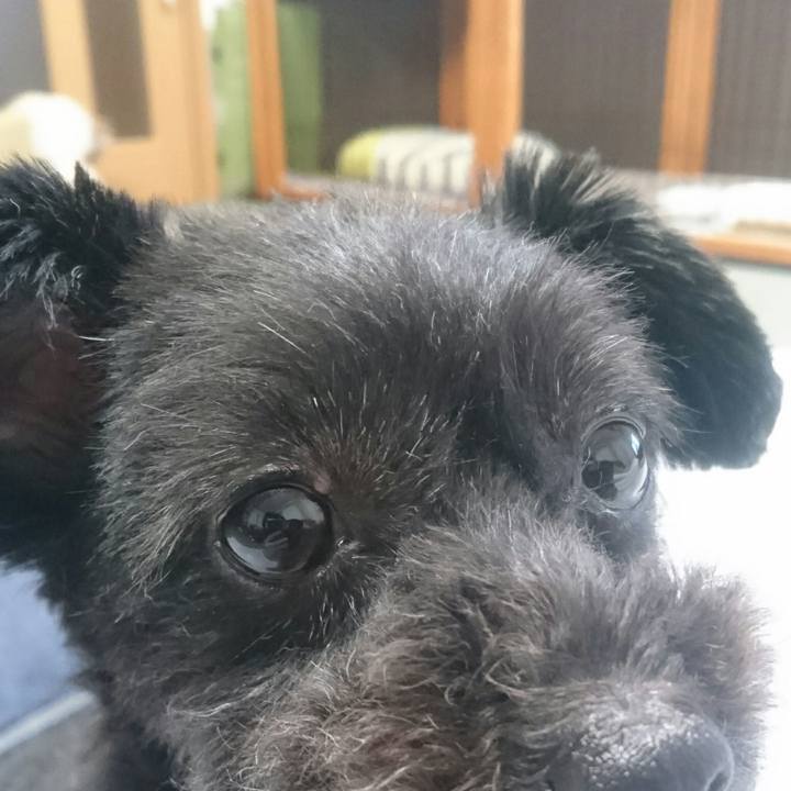 E83e702c f9a0 4e73 87d6 b1cab375c6aa