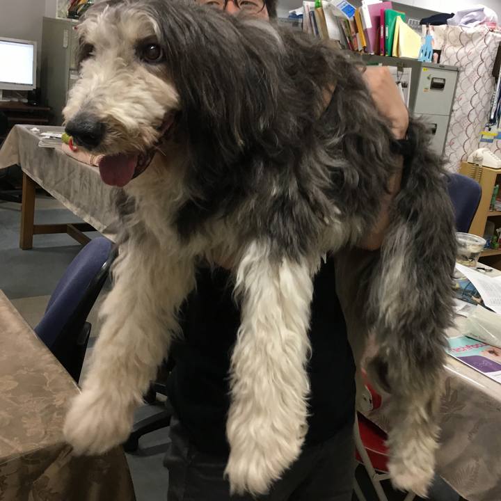 E83e8b05 1590 42be 884a db60d5d95240