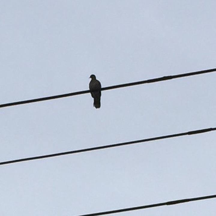 E83e9867 f8fb 422c 9993 1171d6859a19