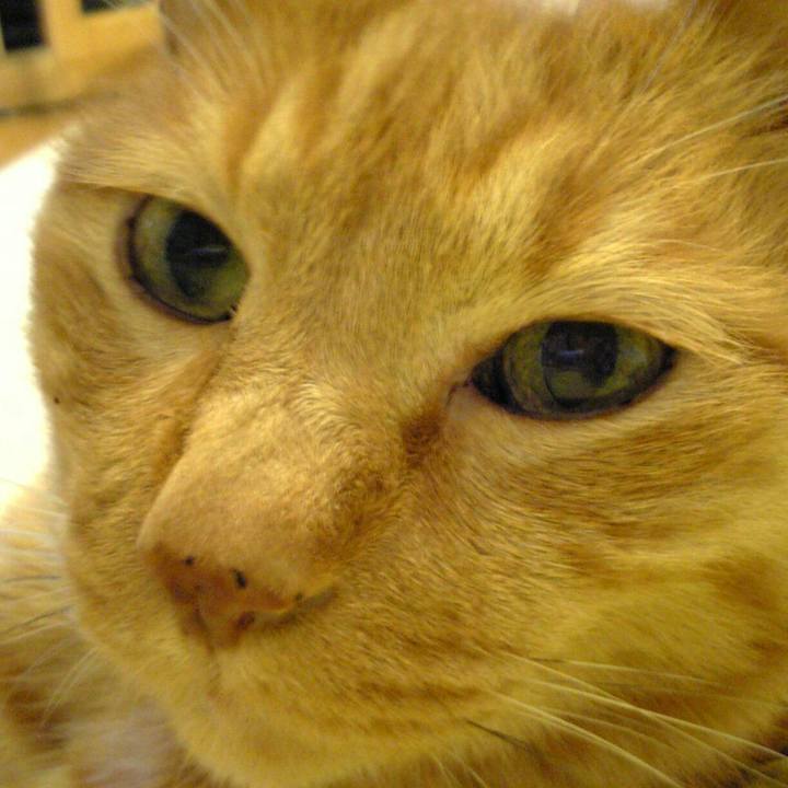 E83f8473 f1d4 4607 984e 662d5a522e8a