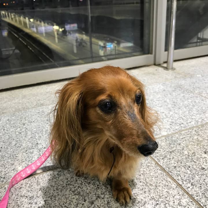 E83f94c3 de6f 49c4 a53f 9cb81de27854