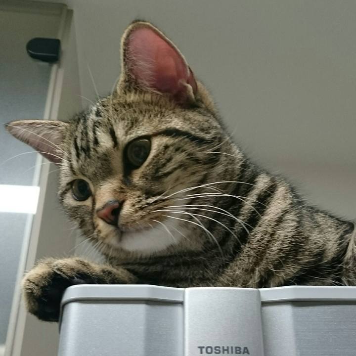 E83fc205 7a33 4c7f aca4 7d16d1980851