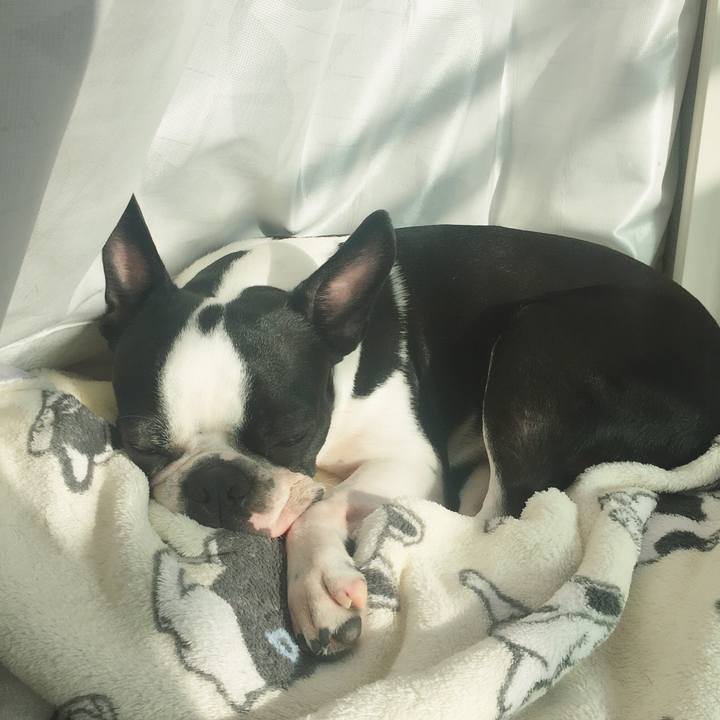 E84062ca 7bd6 40e7 93c5 3399d22aefbe