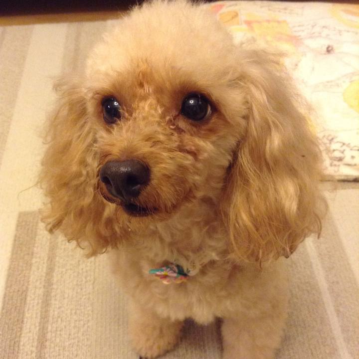 E8412c04 5866 472d bc3d 4330c1af8c8b