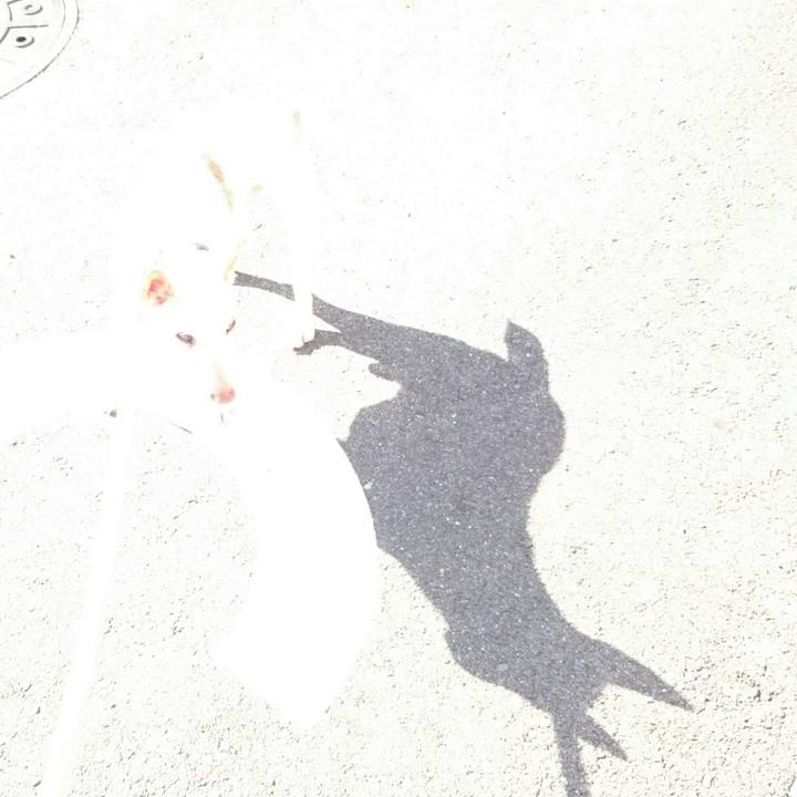 E841c6d5 630e 453f a55a d16c9661827e