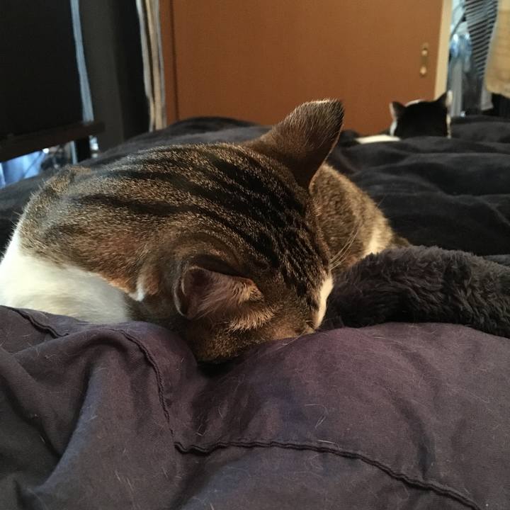 E841e1f9 039c 4113 9740 7d174820f10d