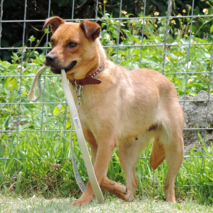 E84206f3 6bf9 449a 802b 8bcea6d8aa70