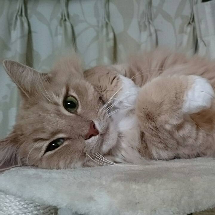 E8421723 444b 4e3d 9ad3 c0b6d0e67182