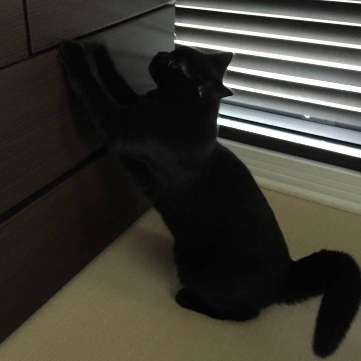 E84265b1 b0ea 40be 898c 243f75c8e82d