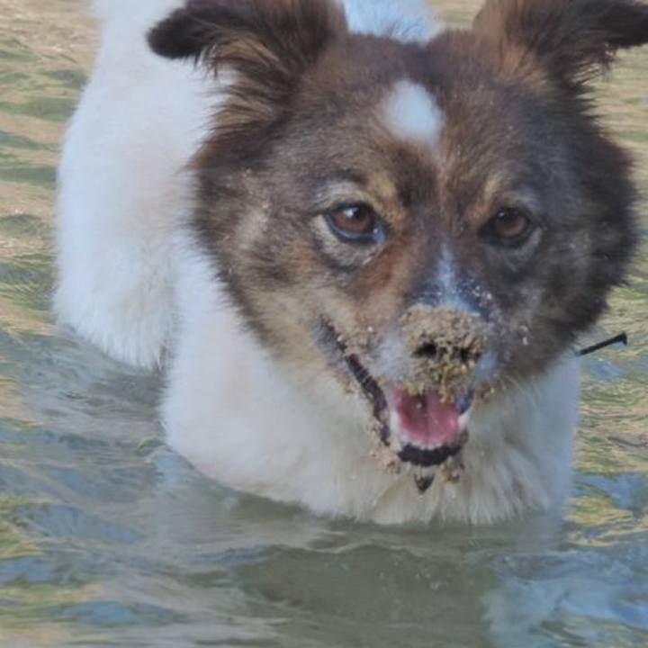 E842e533 4895 4541 b13e 163f694be28b