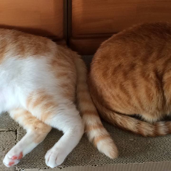 E8431068 4e87 4fe3 b951 7abd7d0a88cf