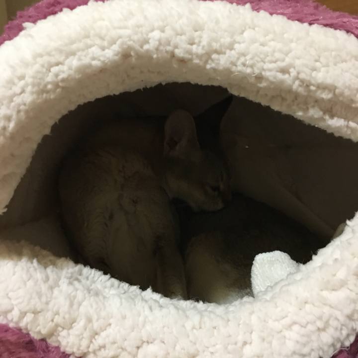 E8433f54 e2d4 47f9 9b74 236adf1131db