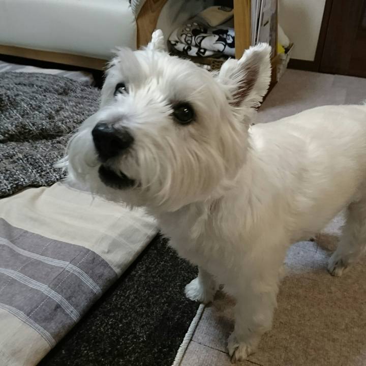 E8437b25 9b23 49a8 9bc9 528b4a326529