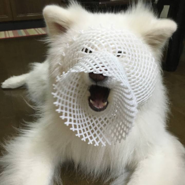 E843a9a9 d5a1 40d4 981a 234ec23f8d43