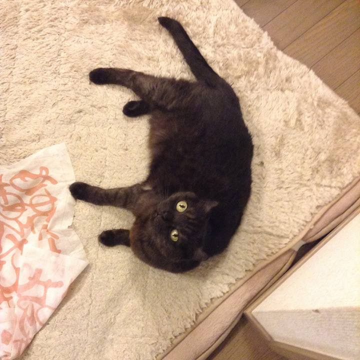 E8440187 a957 497a 8d1f 514a56b93fec