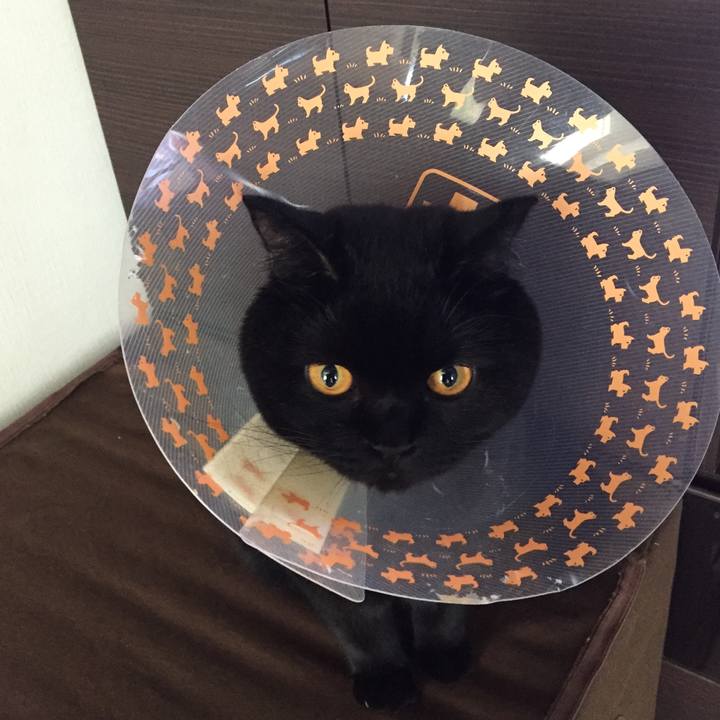 E8441aa8 1437 463b b82f 5a65bce9dad9