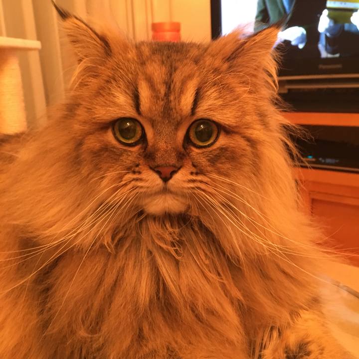 E8446a17 3015 4b2f b1bc 5c5090d2cbc6