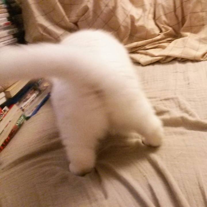 E844df9e c826 4941 aa52 65fa0e01b216