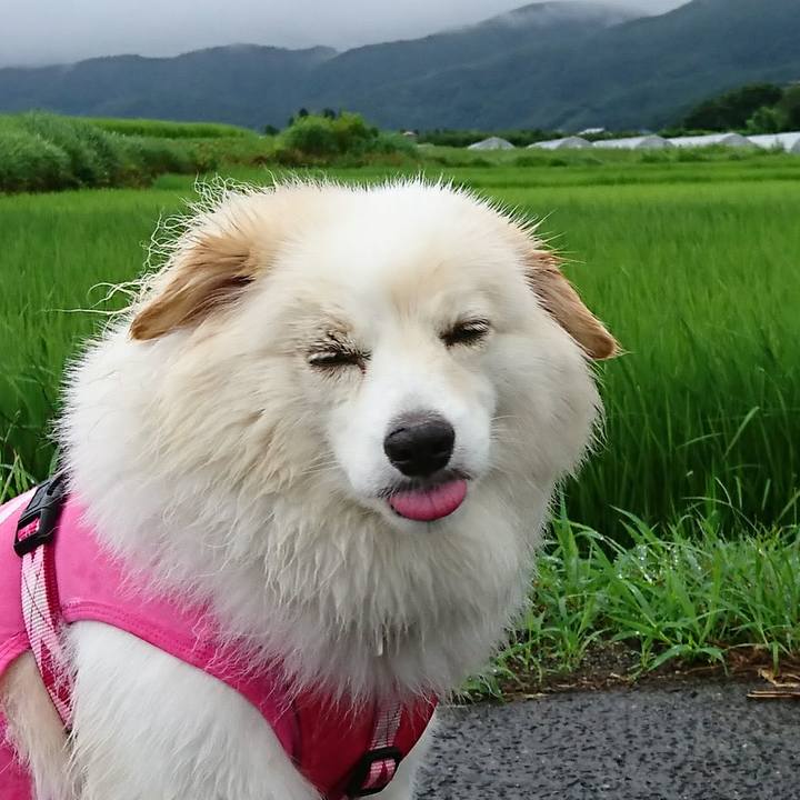 E84545db 0b10 4f5a b447 21d375290cf2