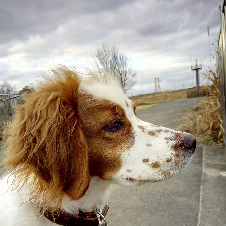 E84571d2 1b3e 4560 bb6a f70ac3d9e4bb