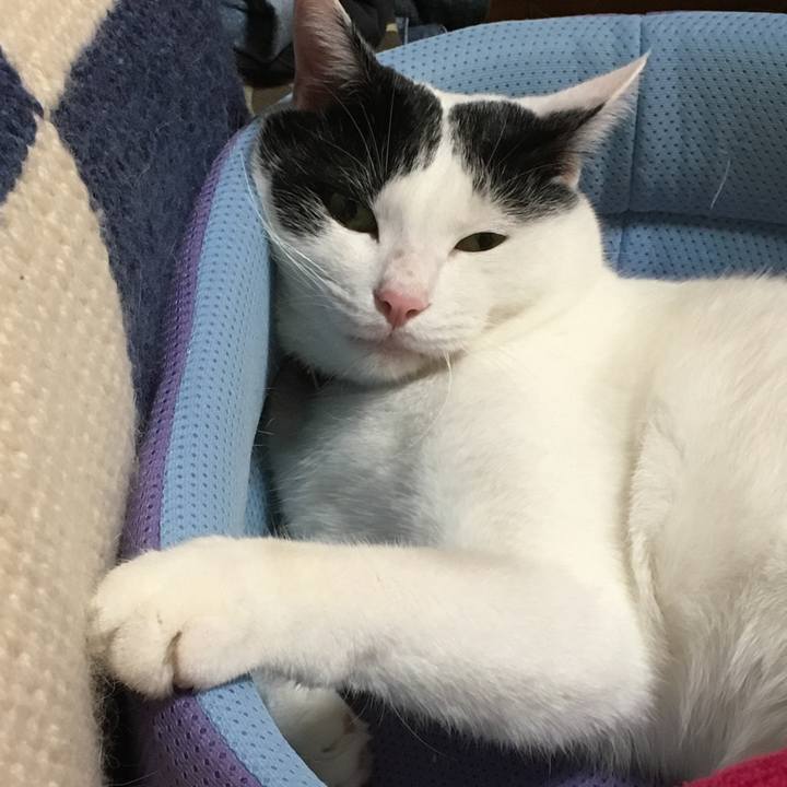 E8458204 df4b 4b68 8b96 ab776623197e