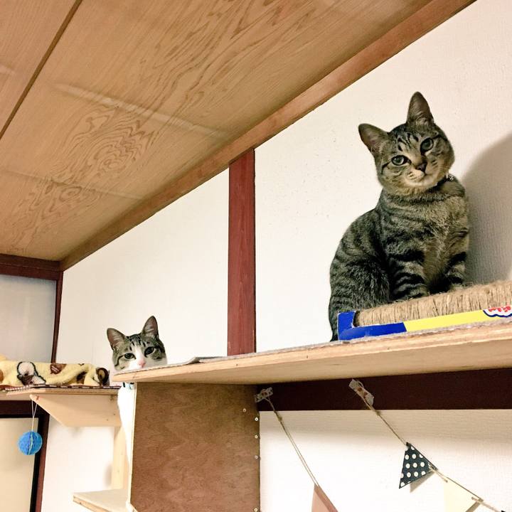 E845d4ad c4bf 4449 a18e 419d1da6d5b3